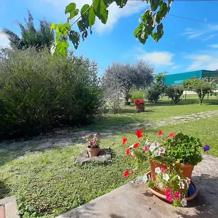 Oasis 2 Apartmán *