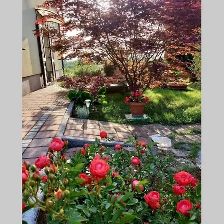 Oasis 2 Apartment Umag