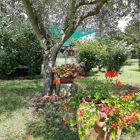 Apartmán Oasis 2 *